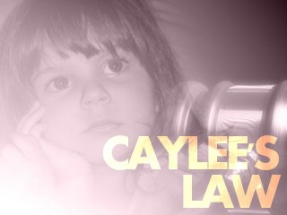 Caylee's Law, a duty to protect children